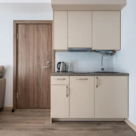 アパート Apartamentai Druskininku 7b パランガ