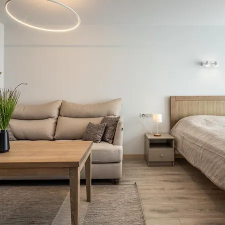 Apartamentai Druskininku 7b דירה פלאנגה