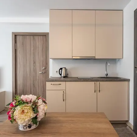 Apartamentai Druskininku 7b דירה *