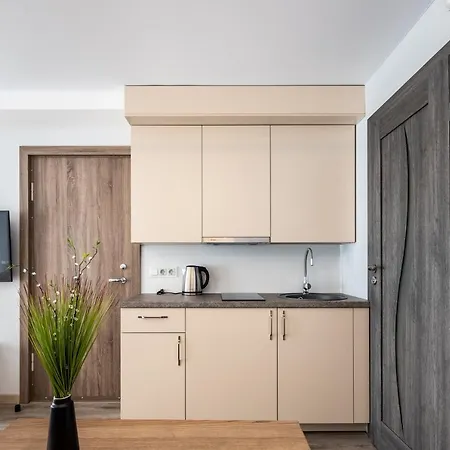 Apartamentai Druskininku 7b דירה *