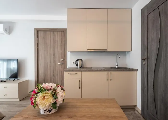 Apartamentai Druskininku 7b דירה *