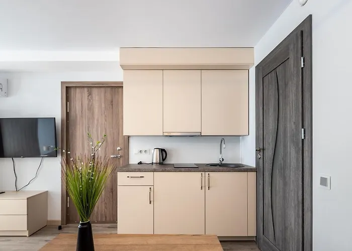 Apartamentai Druskininku 7b Apartment *