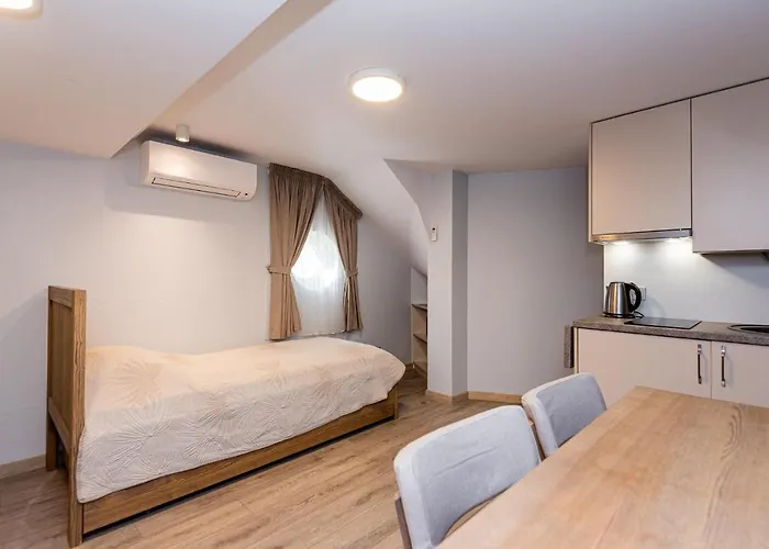 דירה Apartamentai Druskininku 7b